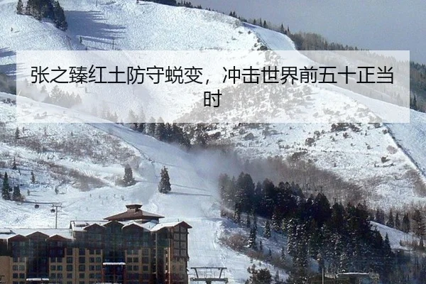 张之臻红土防守蜕变，冲击世界前五十正当时
